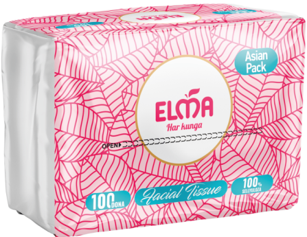 Бумажные салфетки Elma V Asian Pack 100 шт., 100% Целлюлоза, 2 слоя, 19×14 см (310)